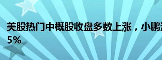 美股热门中概股收盘多数上涨，小鹏汽车涨超5%