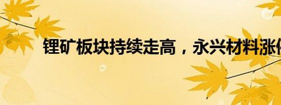 锂矿板块持续走高，永兴材料涨停