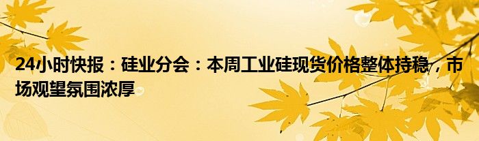 24小时快报：硅业分会：本周工业硅现货价格整体持稳，市场观望氛围浓厚