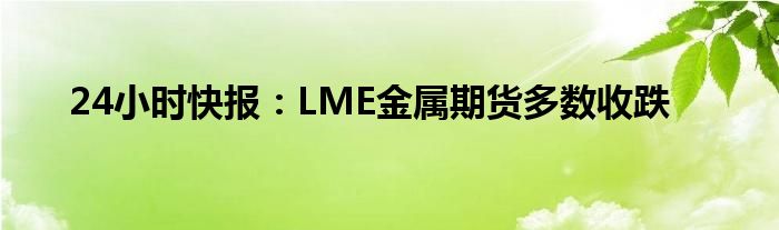 24小时快报：LME金属期货多数收跌