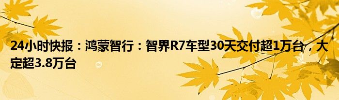 24小时快报：鸿蒙智行：智界R7车型30天交付超1万台，大定超3.8万台