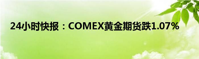 24小时快报：COMEX黄金期货跌1.07%