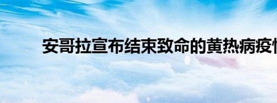 安哥拉宣布结束致命的黄热病疫情