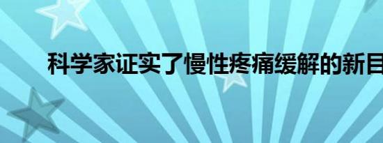 科学家证实了慢性疼痛缓解的新目标