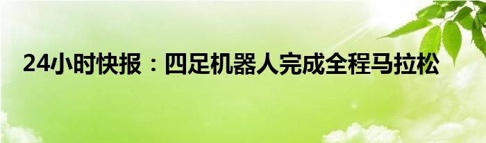 24小时快报：四足机器人完成全程马拉松