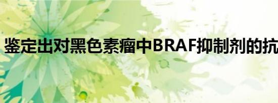 鉴定出对黑色素瘤中BRAF抑制剂的抗性机制