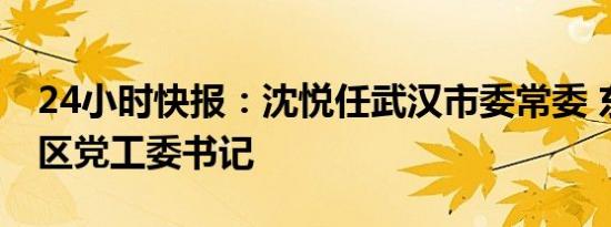 24小时快报：沈悦任武汉市委常委 东湖高新区党工委书记